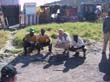 126-2664_IMG