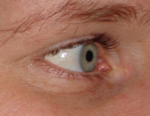 DSC01293