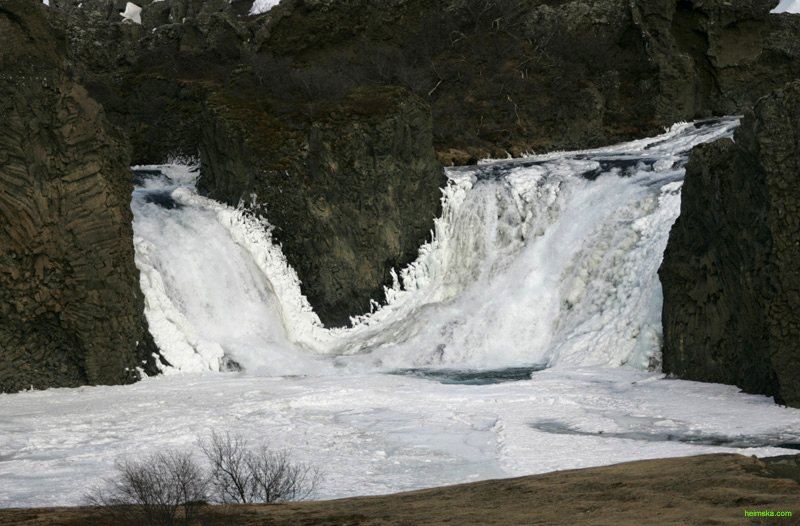 MT8V6441