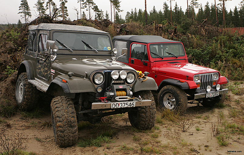 MT8V0847