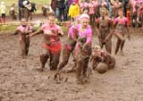 MT8V1081