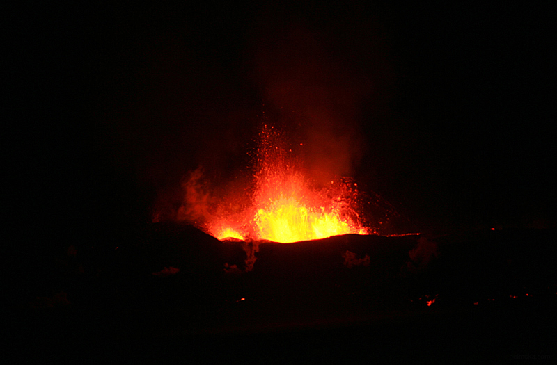 MT8V8459