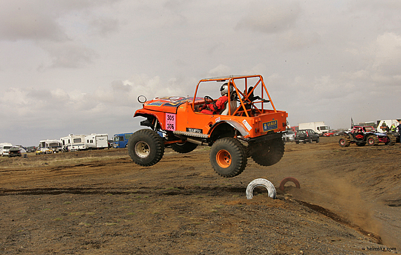 MT8V2081