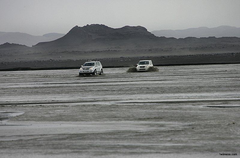 MT8V0901