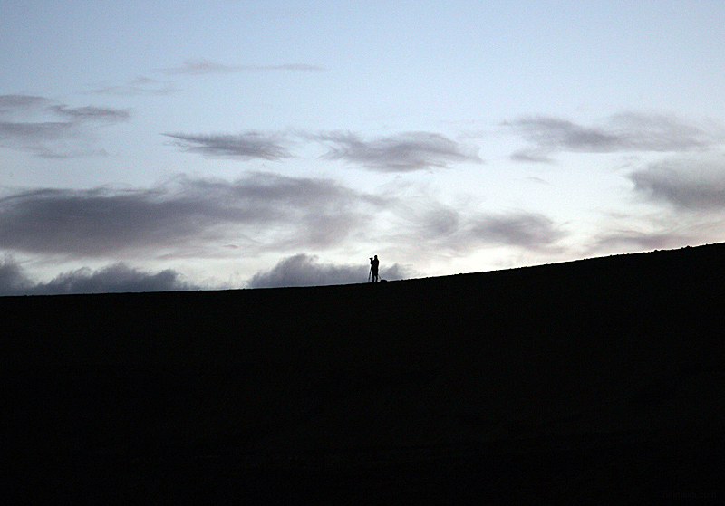MT8V0980