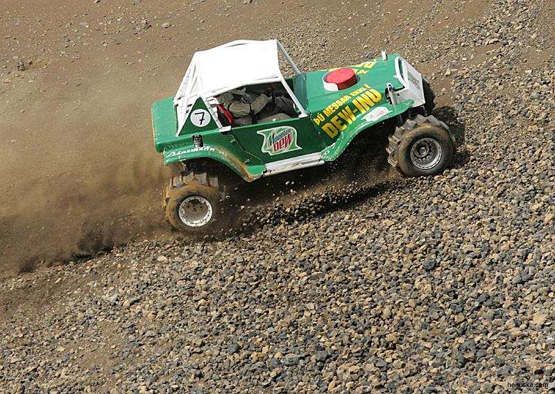 MT8V4393
