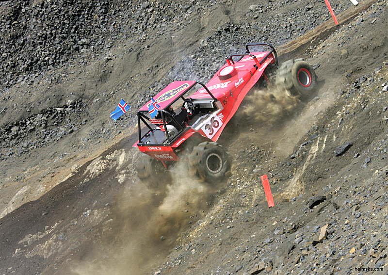 MT8V4600