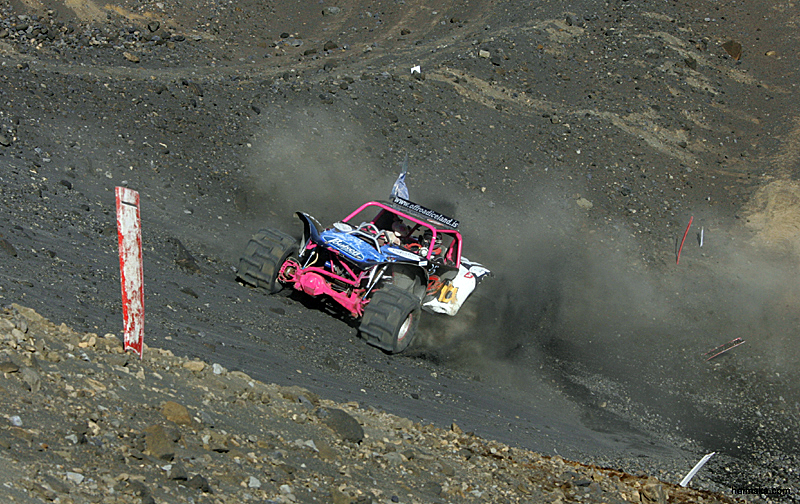 MT8V4993