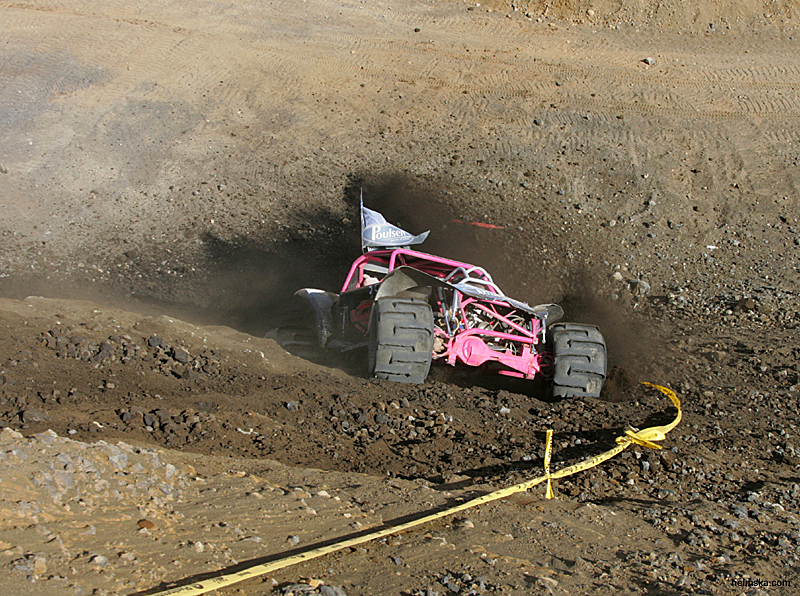 MT8V5604