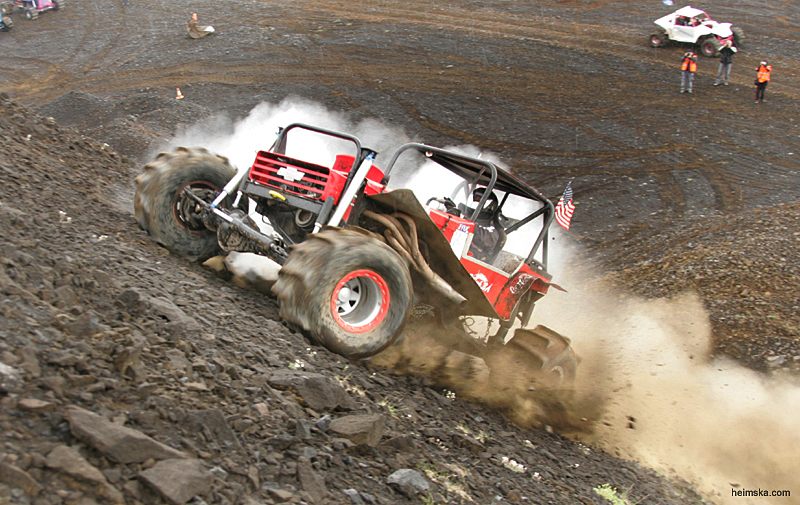 MT8V8001