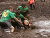 MT8V3668