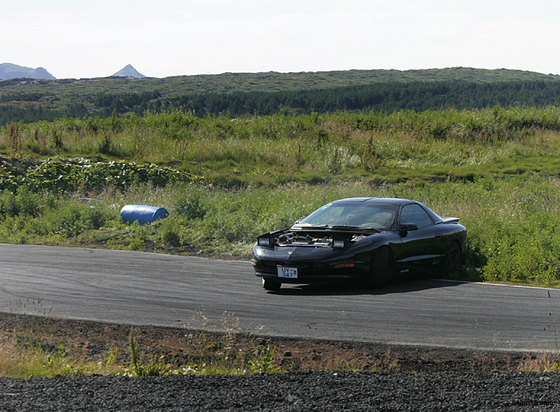 MT8V7975