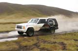 MT8V4601