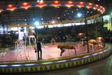 IMG_1673