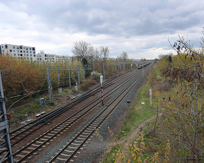 A31I4246
