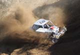 A31I3194